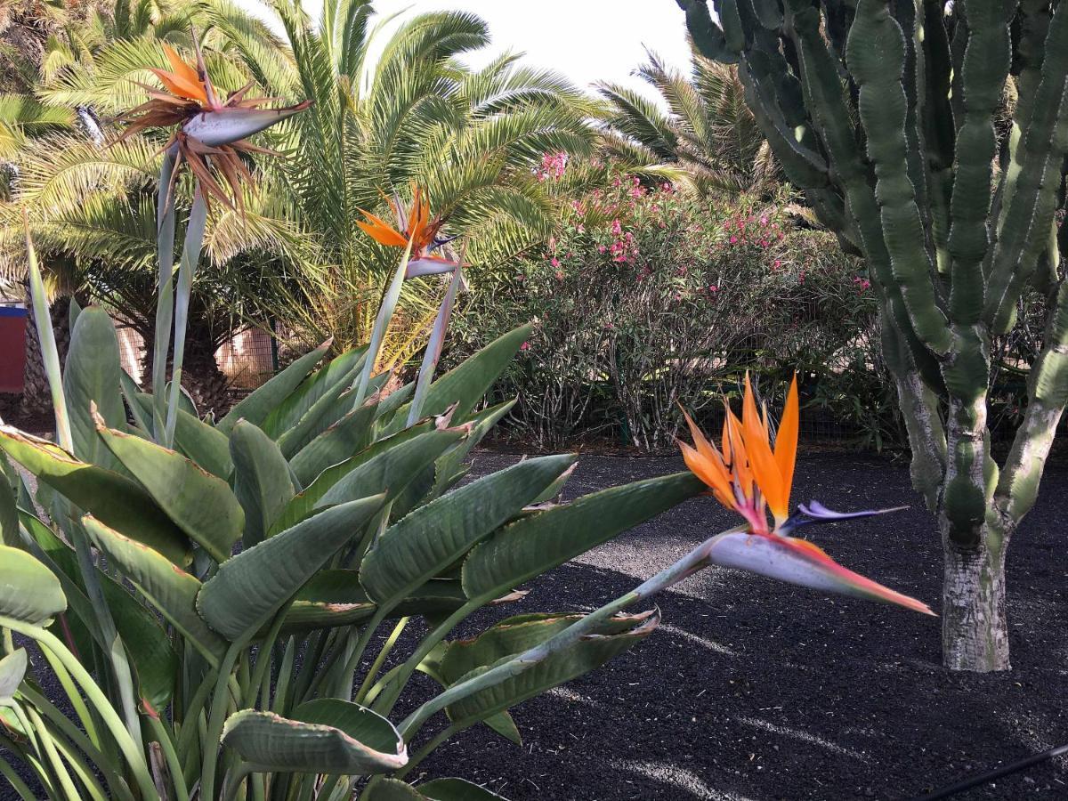 Casa Panama,In Der Finca Mimosa Teguise  Luaran gambar